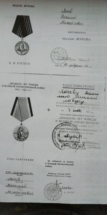 340 Лосев Василий Михайлович.jpg